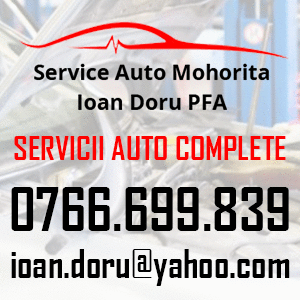 Service Auto Mohorita Ioan Doru PFA